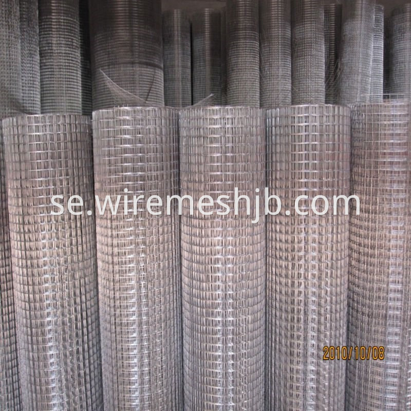 Welded Wire Mesh 